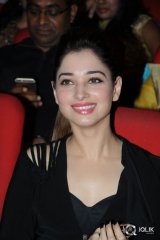 Bengal Tiger Movie Audio Launch